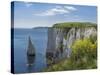 The Chalk Cliffs of Ballard Down with the Pinnacles Stack in Swanage Bay, Near Handfast Point-Roy Rainford-Stretched Canvas