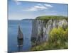 The Chalk Cliffs of Ballard Down with the Pinnacles Stack in Swanage Bay, Near Handfast Point-Roy Rainford-Mounted Photographic Print