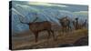 The Challenge (Elk)-Kalon Baughan-Stretched Canvas