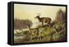 The Challenge-Arthur Fitzwilliam Tait-Framed Stretched Canvas