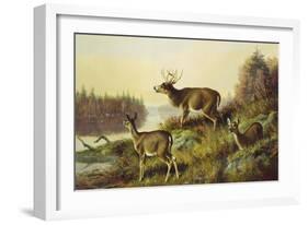 The Challenge-Arthur Fitzwilliam Tait-Framed Giclee Print