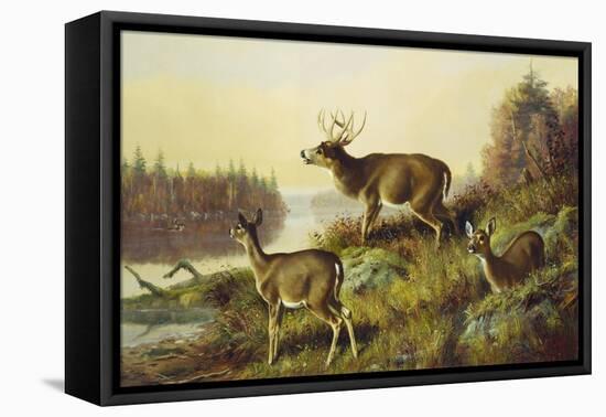 The Challenge-Arthur Fitzwilliam Tait-Framed Stretched Canvas