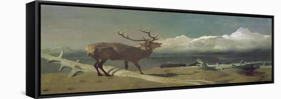 The Challenge-Edwin Landseer-Framed Stretched Canvas