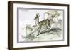 The Chamois-John Stewart-Framed Premium Giclee Print