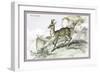 The Chamois-John Stewart-Framed Premium Giclee Print