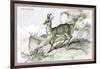 The Chamois-John Stewart-Framed Art Print