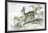 The Chamois-John Stewart-Framed Art Print