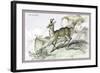 The Chamois-John Stewart-Framed Art Print