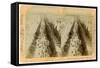 The Champs Elysees, Paris, France, 1894-Underwood & Underwood-Framed Stretched Canvas