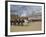 The Changing of the Guard, Horse Guards Parade, London, England, United Kingdom, Europe-James Emmerson-Framed Photographic Print