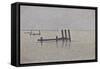 The Channel at Nieuwpoort, C. 1889-Alfred William Finch-Framed Stretched Canvas