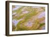 The Channels Of Tide Lines Exposed At Low Tide Along The Cook Inlet Near Anchorage Alaska-Jay Goodrich-Framed Photographic Print