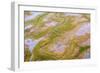 The Channels Of Tide Lines Exposed At Low Tide Along The Cook Inlet Near Anchorage Alaska-Jay Goodrich-Framed Photographic Print