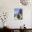 The Chapel of the 14th Century Farleigh Hungerford Castle, Somerset, England, UK, Europe-Ethel Davies-Photographic Print displayed on a wall