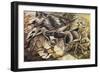 The Charge of the Lancers, 1915-Umberto Boccioni-Framed Giclee Print