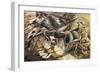 The Charge of the Lancers, 1915-Umberto Boccioni-Framed Giclee Print