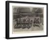 The Chariot Race at Barnum and Bailey's Show, the Start for the Final Heat-William Small-Framed Giclee Print