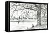 The Charles River Boston USA, 2003-Vincent Alexander Booth-Framed Stretched Canvas