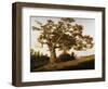 The Charter Oak-Charles de Wolfe Brownell-Framed Giclee Print