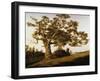 The Charter Oak-Charles de Wolfe Brownell-Framed Giclee Print