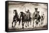 The Chase I-David Drost-Framed Stretched Canvas