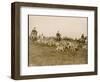 The Chase of the Devon and Somerset Stag Hunt with Horses and Hounds Running Downhill England-null-Framed Photographic Print