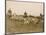 The Chase of the Devon and Somerset Stag Hunt with Horses and Hounds Running Downhill England-null-Mounted Photographic Print