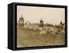 The Chase of the Devon and Somerset Stag Hunt with Horses and Hounds Running Downhill England-null-Framed Stretched Canvas