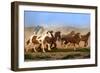 The Chase VI-David Drost-Framed Photographic Print