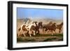 The Chase VI-David Drost-Framed Photographic Print