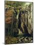 The Chasm at Conches, 1864-Gustave Courbet-Mounted Giclee Print