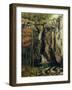 The Chasm at Conches, 1864-Gustave Courbet-Framed Giclee Print