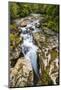 The Chasm, Fiordland National Park, South Island, New Zealand-Russ Bishop-Mounted Photographic Print