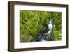 The Chasm, Fiordland National Park, South Island, New Zealand-Russ Bishop-Framed Photographic Print