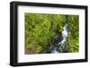 The Chasm, Fiordland National Park, South Island, New Zealand-Russ Bishop-Framed Photographic Print