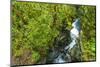 The Chasm, Fiordland National Park, South Island, New Zealand-Russ Bishop-Mounted Photographic Print