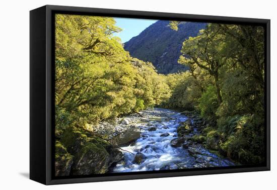 The Chasm Is a Natural Attraction on the Milford Sound Road, New Zealand-Paul Dymond-Framed Stretched Canvas