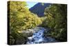 The Chasm Is a Natural Attraction on the Milford Sound Road, New Zealand-Paul Dymond-Stretched Canvas