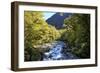 The Chasm Is a Natural Attraction on the Milford Sound Road, New Zealand-Paul Dymond-Framed Photographic Print