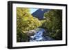 The Chasm Is a Natural Attraction on the Milford Sound Road, New Zealand-Paul Dymond-Framed Photographic Print