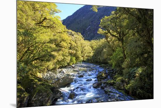 The Chasm Is a Natural Attraction on the Milford Sound Road, New Zealand-Paul Dymond-Mounted Premium Photographic Print