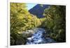 The Chasm Is a Natural Attraction on the Milford Sound Road, New Zealand-Paul Dymond-Framed Photographic Print