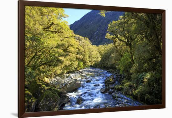 The Chasm Is a Natural Attraction on the Milford Sound Road, New Zealand-Paul Dymond-Framed Photographic Print