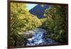 The Chasm Is a Natural Attraction on the Milford Sound Road, New Zealand-Paul Dymond-Framed Photographic Print
