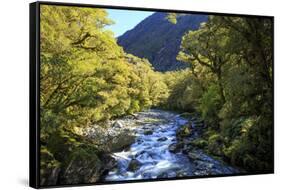 The Chasm Is a Natural Attraction on the Milford Sound Road, New Zealand-Paul Dymond-Framed Stretched Canvas