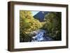 The Chasm Is a Natural Attraction on the Milford Sound Road, New Zealand-Paul Dymond-Framed Photographic Print