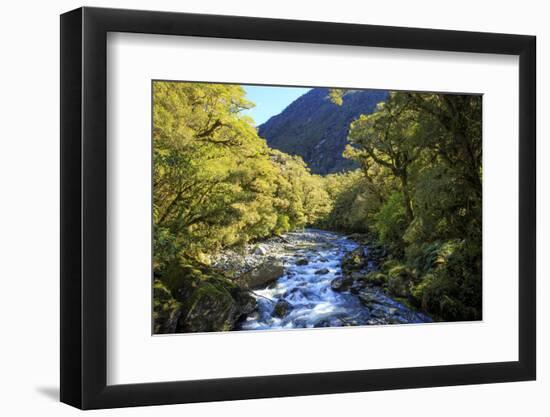 The Chasm Is a Natural Attraction on the Milford Sound Road, New Zealand-Paul Dymond-Framed Photographic Print