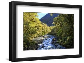 The Chasm Is a Natural Attraction on the Milford Sound Road, New Zealand-Paul Dymond-Framed Photographic Print