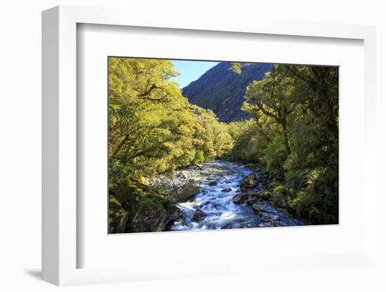 The Chasm Is a Natural Attraction on the Milford Sound Road, New Zealand-Paul Dymond-Framed Photographic Print