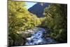 The Chasm Is a Natural Attraction on the Milford Sound Road, New Zealand-Paul Dymond-Mounted Photographic Print